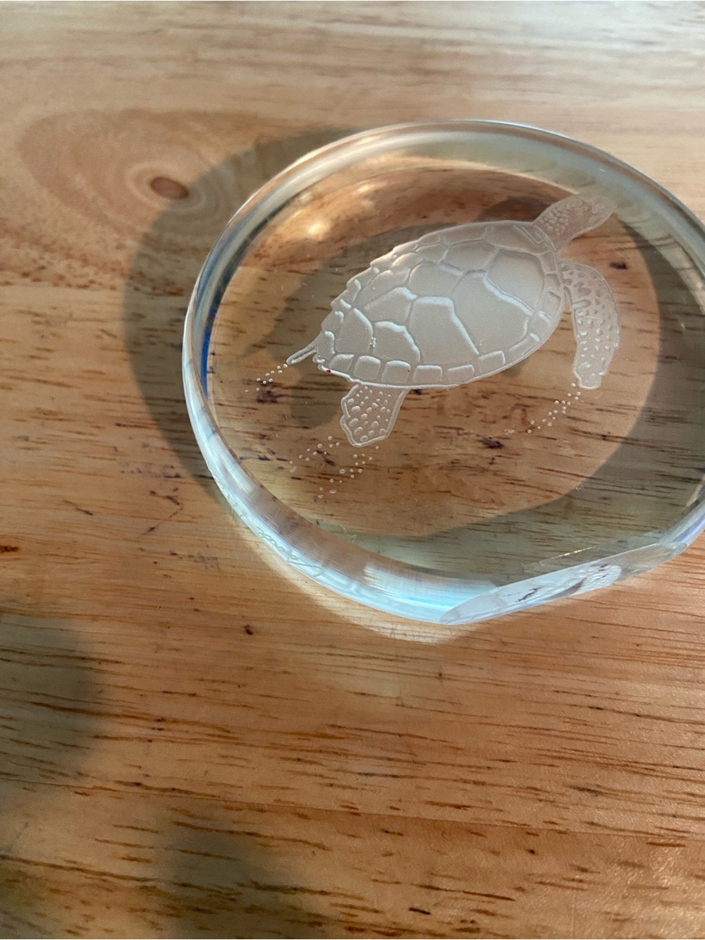 Clear Turtle Paperweight Signed David Alan